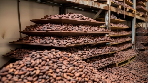 raw-cocoa-beans-piled-chocolate-factory-storage_1143378-1855